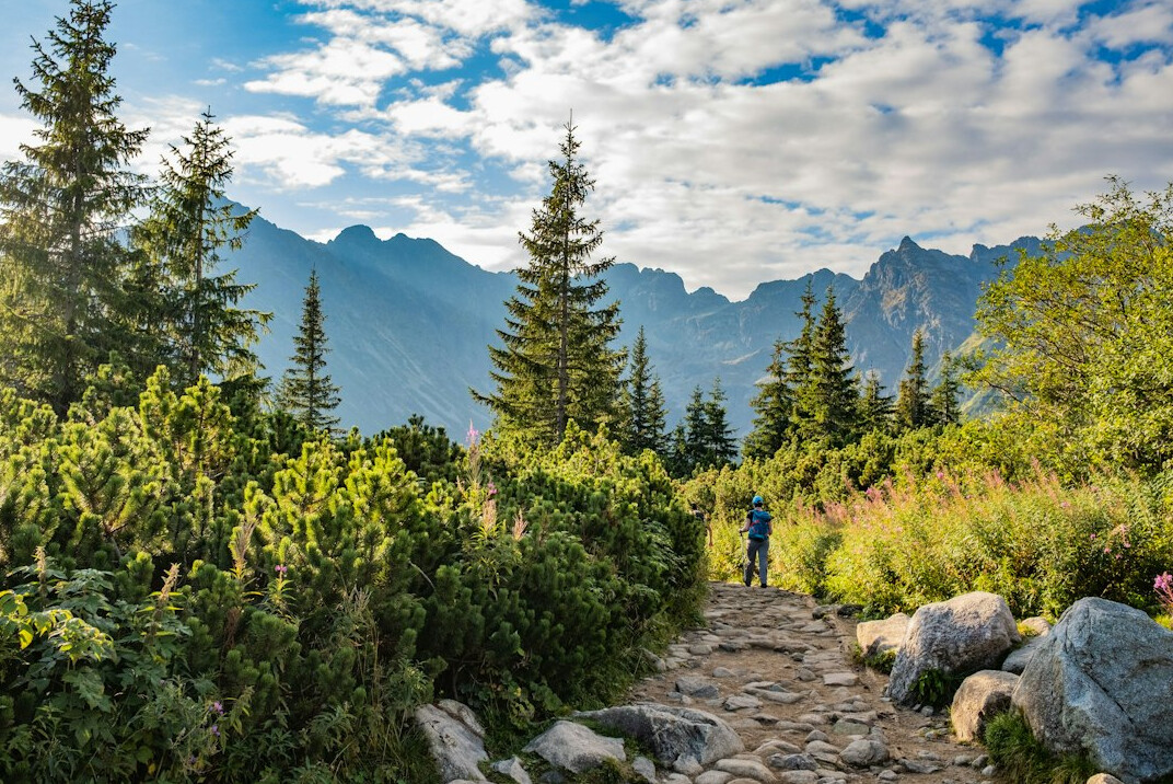 person hiking mountain trail